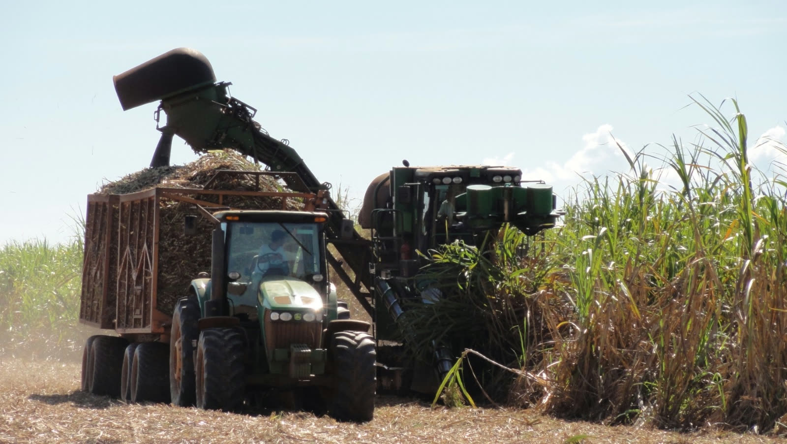Operação em campo com maquinário agrícola da Vazante, tratores e colhedora de cana